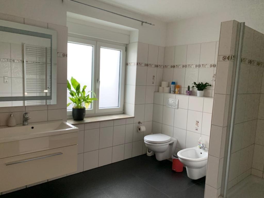 Guenstige Zimmer-Unterkunft Zimmer Mit Gemeinschaftsbad Лёррах Экстерьер фото