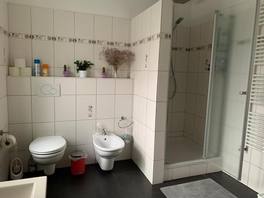 Guenstige Zimmer-Unterkunft Zimmer Mit Gemeinschaftsbad Лёррах Экстерьер фото